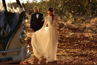 Pulmino e Maggiolino Cabrio Volkswagen - 6