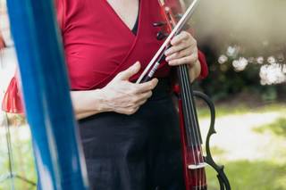 Violino per matrimoni - 6