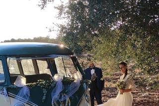 Pulmino e Maggiolino Cabrio Volkswagen - 7