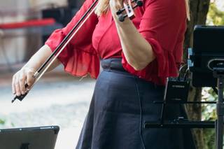 Violino per matrimoni - 7