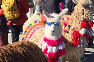 Alternative Honey Moon - 7