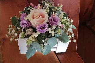 Fiori & Co. - 9