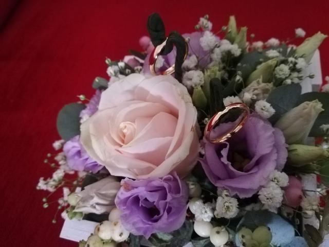 Fiori & Co. - 3