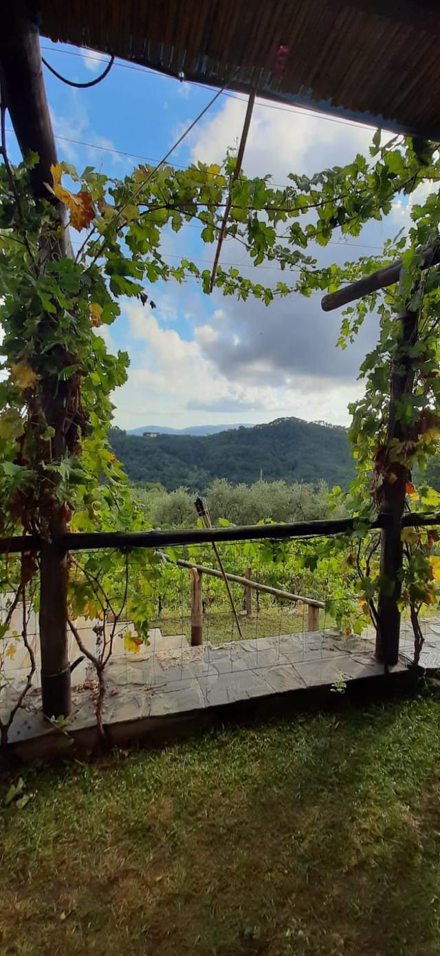 La Burlanda - 2