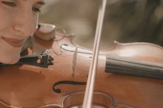 Denise Ardito Violinista - 7