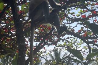 Luisa Tonon - Consulente di viaggi - 8