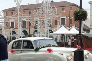 Autonoleggio Amarcord - 5