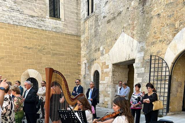 Harmonie - Trio Musicale 1