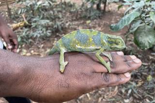 Luisa Tonon - Consulente di viaggi - 10