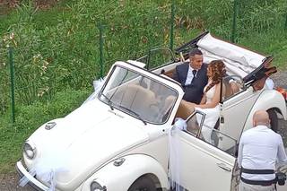 Opposti Perfetti - Maggiolini per Eventi - 21