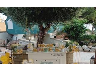 Poggio del Principe - 10