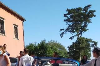 Blue Angel Noleggio - 19