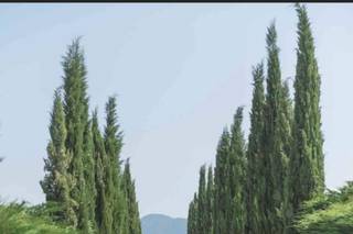 Atesina Noleggi - 17