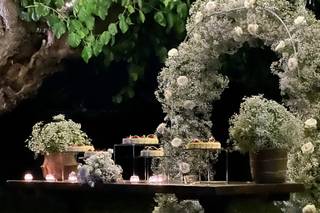 Agriturismo Almavite - 7