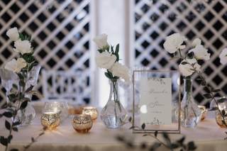 Pittafiori Botanica e Pittura - 7