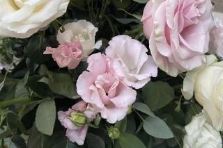 Arnoldo Fiori - 7