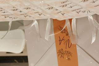 MV Design Studio - 6