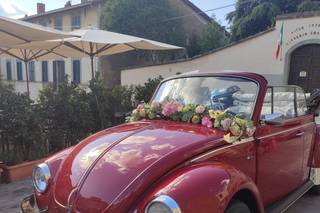 Fiorista Bennati Massimo - 8