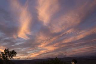 Villa Acquaviva Wine Resort - 6