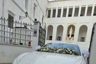 Puglia Luxury Car - 5