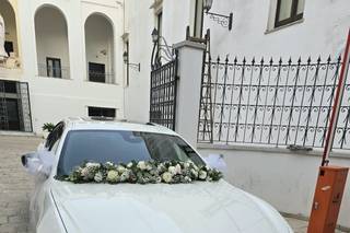 Puglia Luxury Car - 6