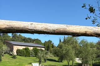 Agriturismo Biologico e Dimora Storica Borgo di Tragliata - 7