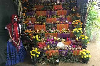 PrattoursViaggi - 11