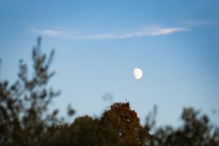 Corte Degli Ulivi - 6