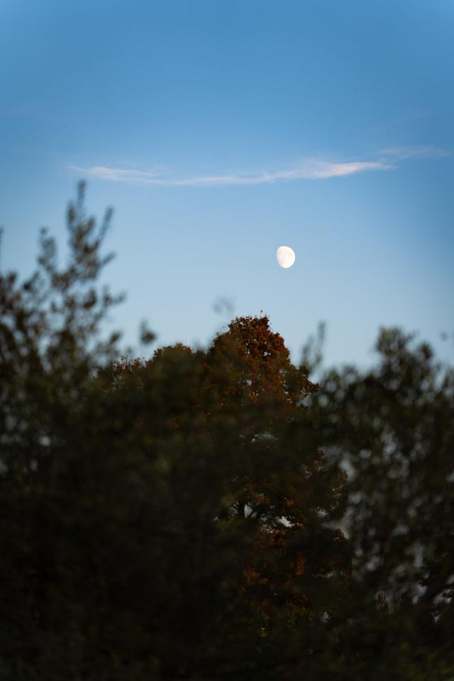 Corte Degli Ulivi - 2