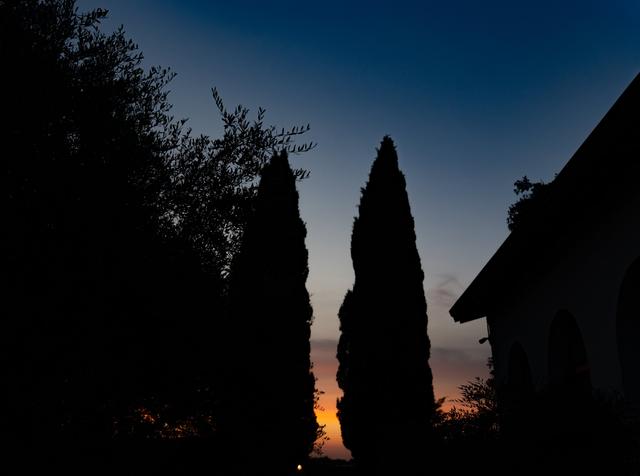 Corte Degli Ulivi - 3