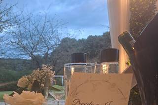 Tenuta Stella Borgomasino - 14