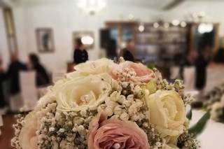 Nuova Flora di Pelliccia Mario - 16