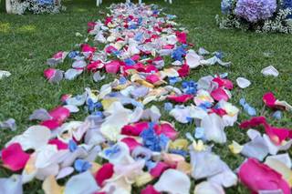 Fm Wedding And Events - 5