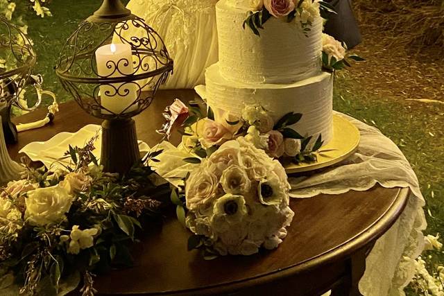 Dalida Sposa 3