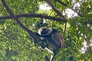 Silvia Giacon VeryTravel - 7