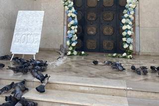 Fiori e Fantasia di Palma Mario - 9