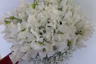 Stefy Flora - 5