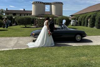 Le Auto di Magnolia - 17