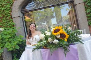 Vivaiosettemetri - 23