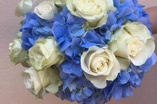 Fiorin Fiorello - 28