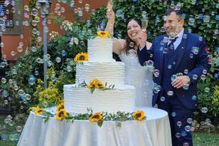 Vivaiosettemetri - 24