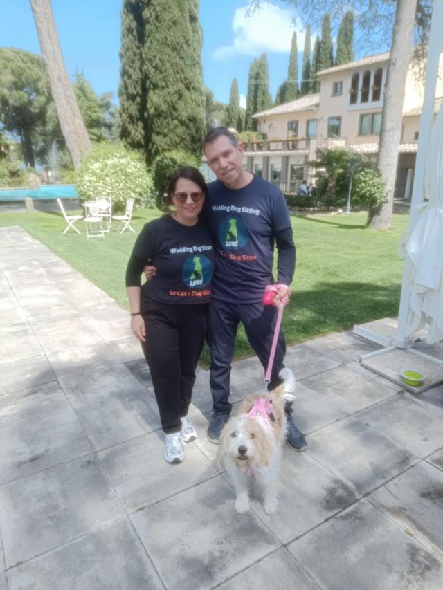 Le Cat e Dog Sitter - Wedding - 3