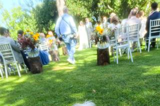 Le Cat e Dog Sitter - Wedding - 12