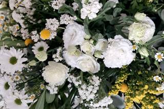 Decor Wedding - 16