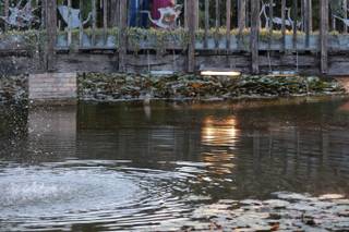 Roberta Mulinazzi Photographer - 6