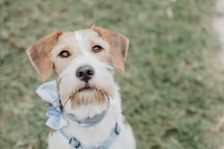 Simona Corda Photography - 22