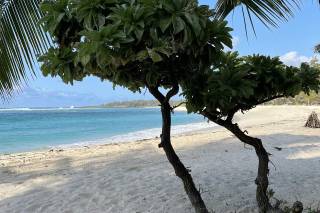 Fantasticando - Viaggi e Vacanze - 10