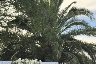 Garden Plan - 9