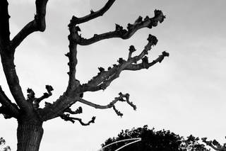 Marcello Saba Fotografo - 7