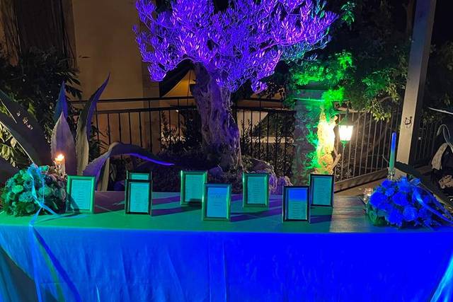 Luxevents-Mila 3